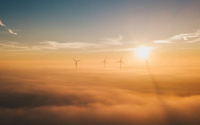 Đăng ký tham dự hội thảo Tập huấn kiểm kê khí nhà kính và Phát triển thị trường Carbon